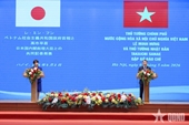 Vietnamese, Japanese PMs meet with press after talks